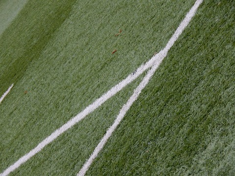 Synthetic turf project features at G20 meeting