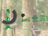 IRSG, FTA partner for natural rubber sustainability