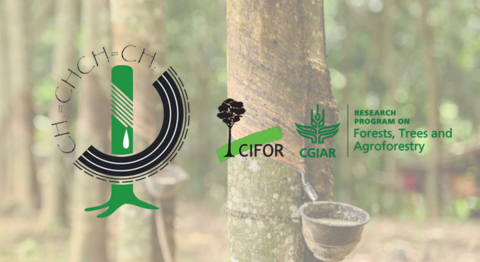 IRSG, FTA partner for natural rubber sustainability