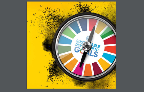 Birla Carbon tracking sustainability goals