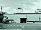 Trinseo to build TPE pilot plant in Taiwan