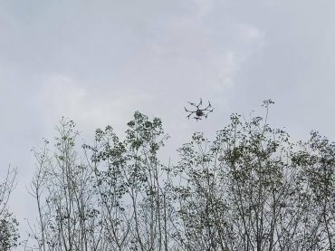 Thailand drones check spread of NR disease   