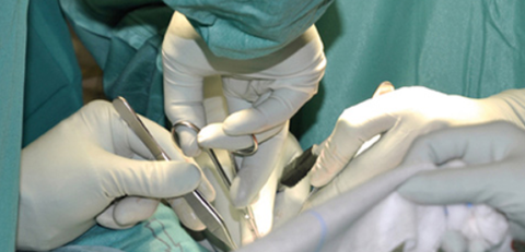 Semperit hit by €50m medical unit impairment loss