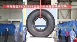 Capacity expansion drives up Triangle’s profits