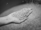 Covestro, Teknor join hands to produce TPU compounds