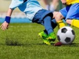 ECHA committee proposes ban on rubber granules in synthetic turf