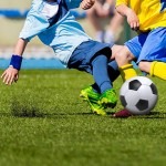ECHA committee proposes ban on rubber granules in synthetic turf