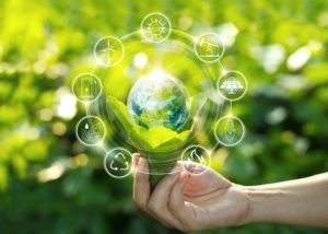Contenders for new Elastomers for Sustainability Top 10