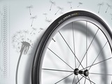 Conti dandelion rubber tire wins two titles 