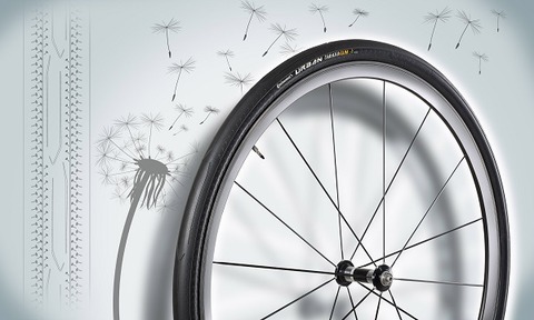 Conti dandelion rubber tire wins two titles 