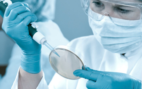Semperit delays divestment of medical unit 