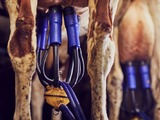 Avon Rubber selling dairy equipment unit for €200m