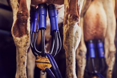 Avon Rubber selling dairy equipment unit for €200m