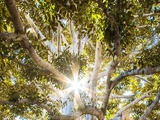 Trinseo sets out 10-year sustainability goals