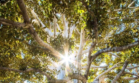 Trinseo sets out 10-year sustainability goals