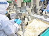 Top Glove rebuffs forced-labour claims with social audit "A rating"