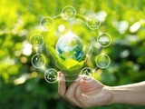Sustainability: Top 10 E4S projects table