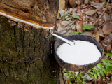 MRB forecasts flat rubber prices in near term