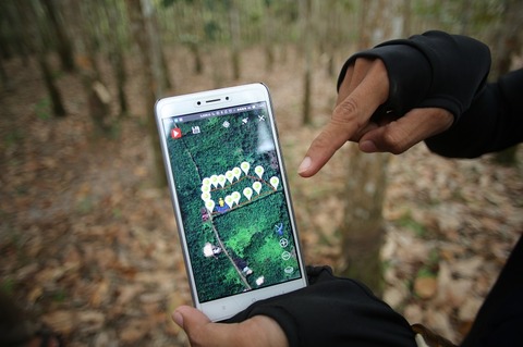 Conti digital-tracking to support rubber supply-chain
