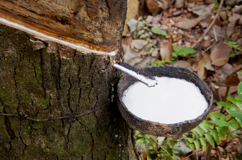 Rubber Price Monitor: Markets “dynamic”