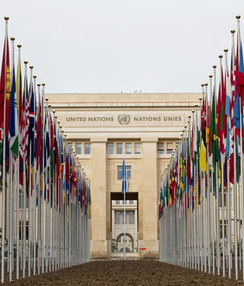 Pirelli among founders of CFO taskforce for sustainable development