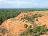Michelin defends Indonesian natural rubber programme