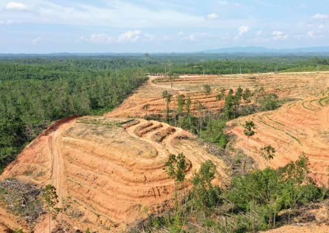 Michelin defends Indonesian natural rubber programme