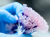 RIEG elastomer events to study sustainability, medical application
