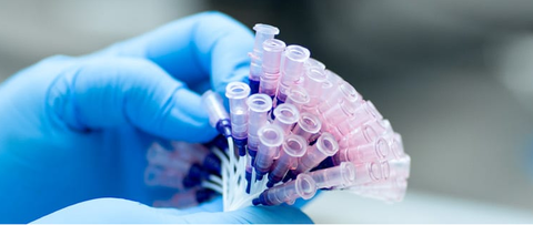 RIEG elastomer events to study sustainability, medical application 