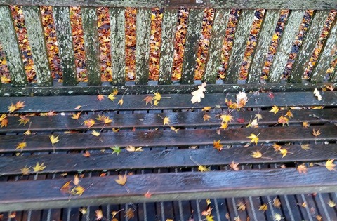 ERJ Brainteaser: November