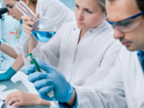 Momentive establishes North America silicones excellence centre