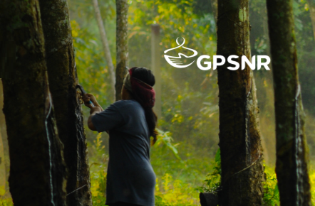GPSNR adds ‘collective grievance mechanism’ for natural rubber industry