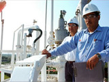 Dynasol plans expansion at synthetic rubber plant