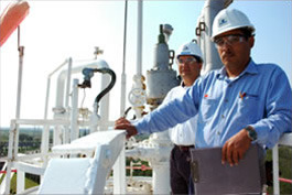 Dynasol plans expansion at synthetic rubber plant