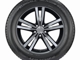 Falken rolls out its first tires with sealant technology