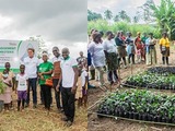 Agrobusiness group SIFCA restores 1.17 hectares of land in Côte d’Ivoire