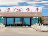 China’s tire heavyweight Hengfeng splits up