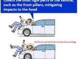 Toyoda Gosei develops pedestrian protection airbag